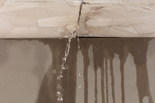 Professional Burst Pipe Cleanup technician working in Medinah, IL